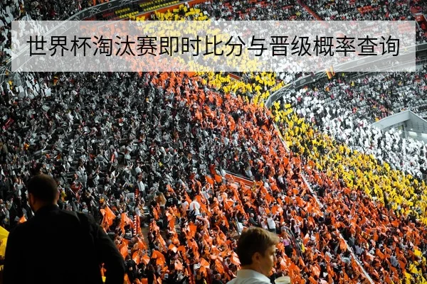 世界杯淘汰赛即时比分与晋级概率查询